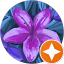 Thilina Tours profile picture